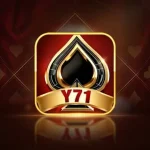 Y71